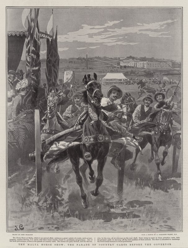 A mostra do cavalo de Malta, a parada de carrinhos do país antes do regulador de John Charlton