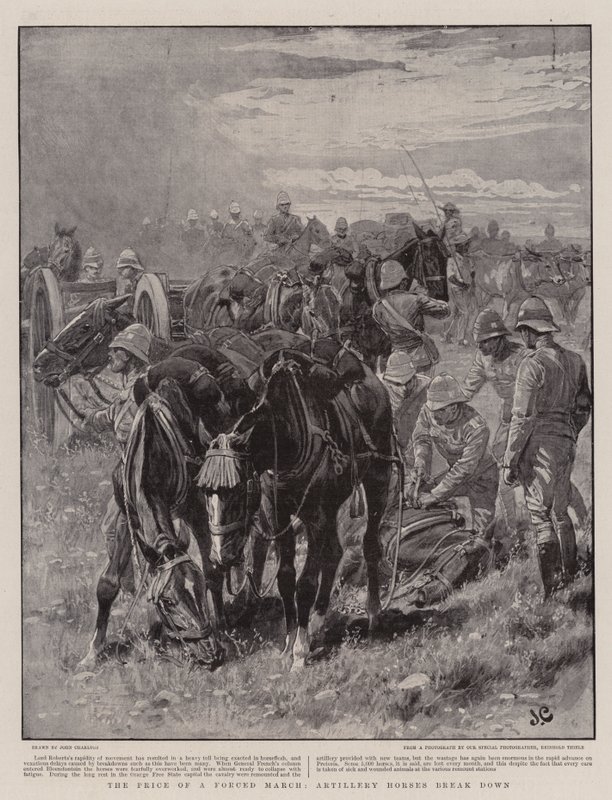 O preço de uma marcha forçada, os cavalos de artilharia quebram de John Charlton
