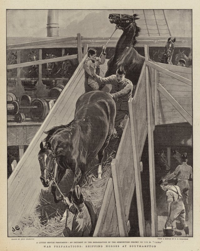 Preparativos de guerra, envio de cavalos em Southampton de John Charlton
