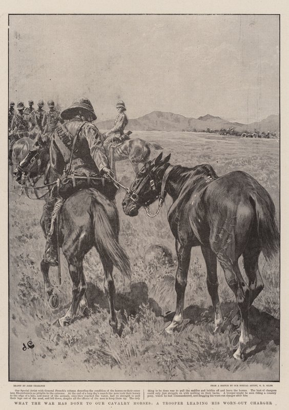 O que a guerra fez aos nossos cavalos de cavalaria, um soldado conduzindo seu carregador desgastado de John Charlton