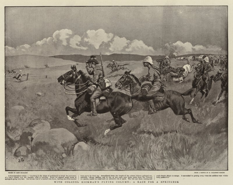 Com Coluna Voadora do Coronel Hickman, Uma Corrida por um Springbok de John Charlton
