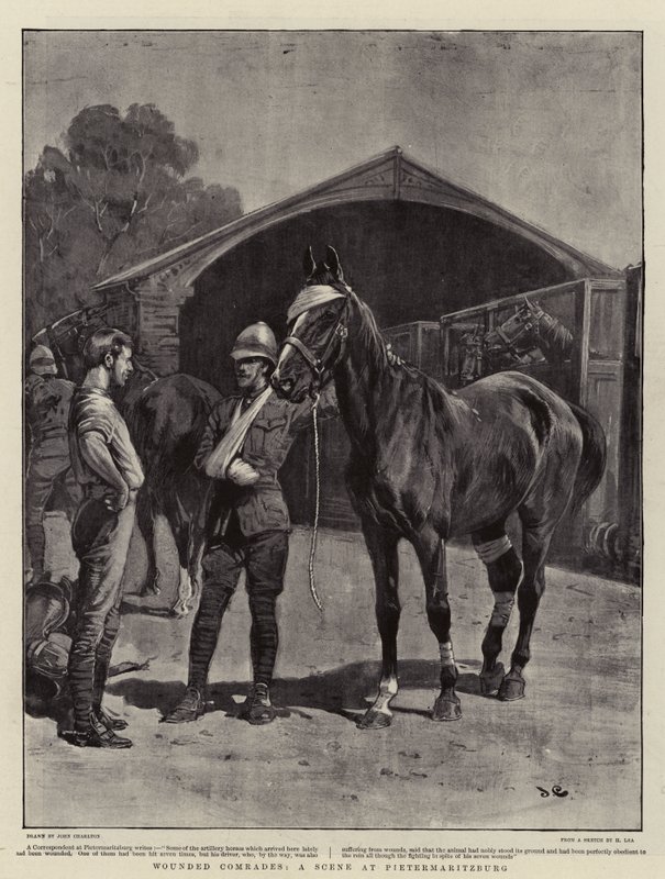 Camaradas feridas, uma cena em Pietermaritzburg de John Charlton
