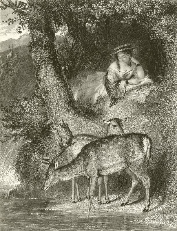 Solidão da montanha de John Corbould