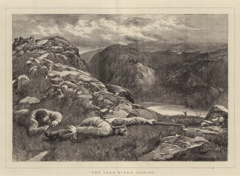 O Olhar Auld Hind de John Evan Hodgson