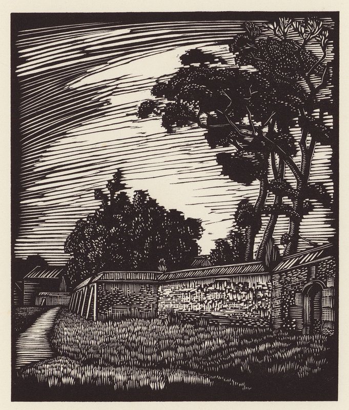 Cambridge: Muro de Peterhouse, Coe Fen (xilogravura) de John Frederick Greenwood