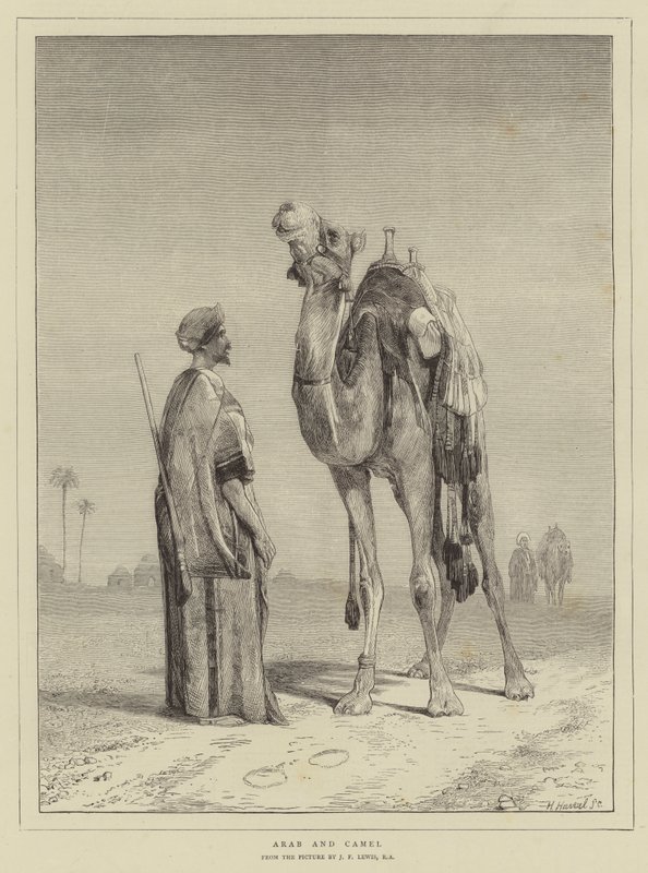 Árabe e camelo de John Frederick Lewis