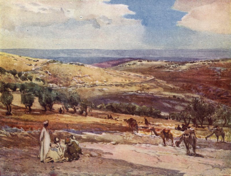 Na estrada de Jerusalém para Betânia de John Fulleylove