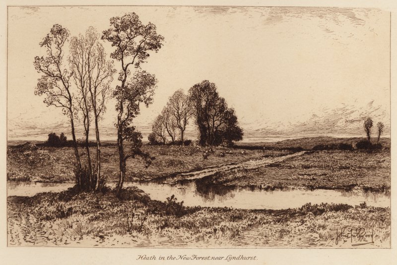 Charneca na Nova Floresta, perto de Lyndhurst (gravura) de John Fullwood