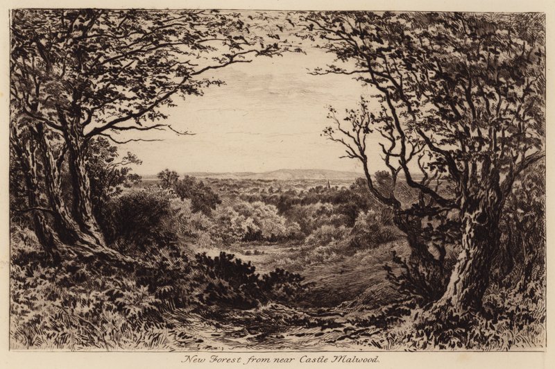 Nova Floresta a partir de perto de Castle Malwood (gravura) de John Fullwood