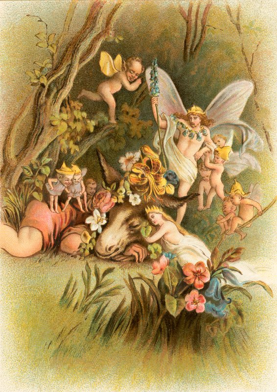 O sonho da noite de verão de John Gilbert