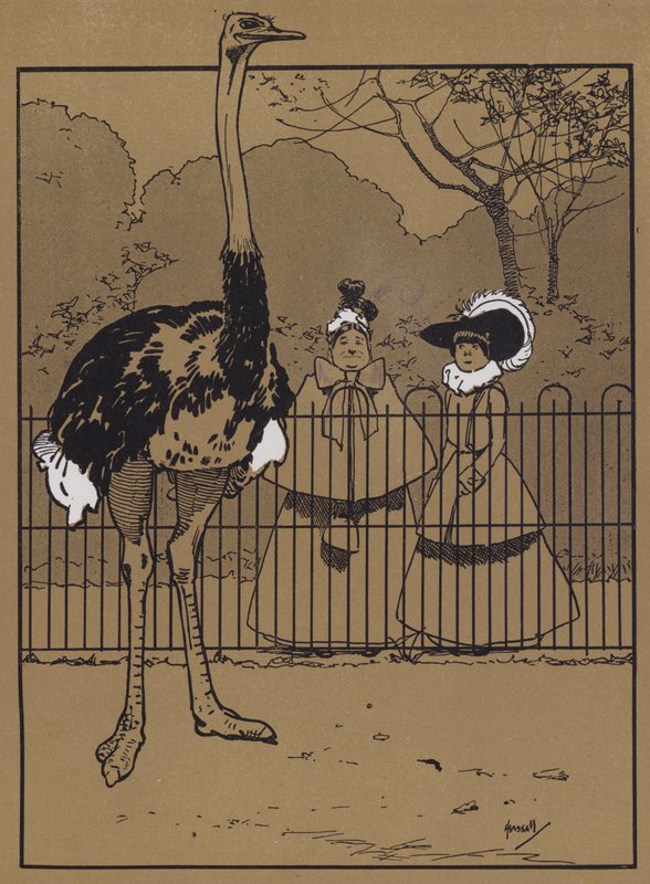 Penas de avestruz (cor litho) de John Hassall
