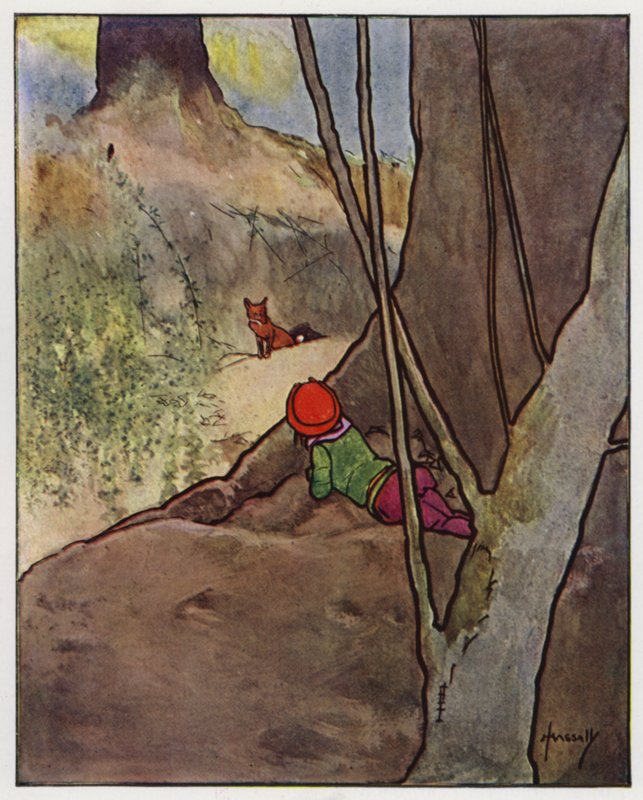 A raposa (lito colorido) de John Hassall