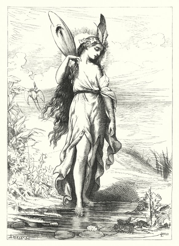 Alvorada e Pôr-do-sol (gravura) de John Lawson