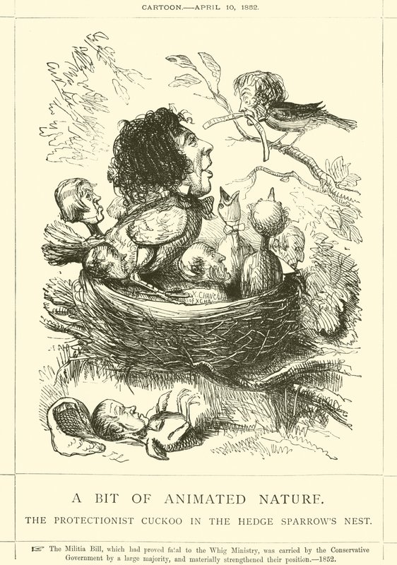 Um pouco de natureza animada, o cuco protecionista no ninho dos pardais de hedge de John Leech
