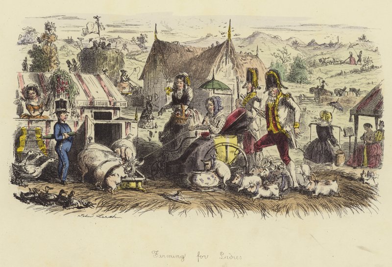 Agricultura para senhoras de John Leech