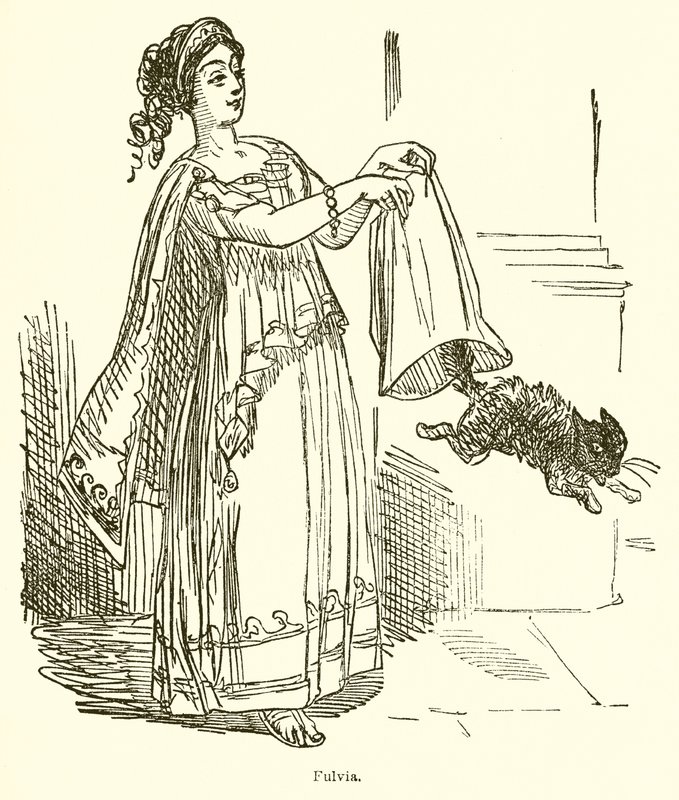 Fulvia de John Leech