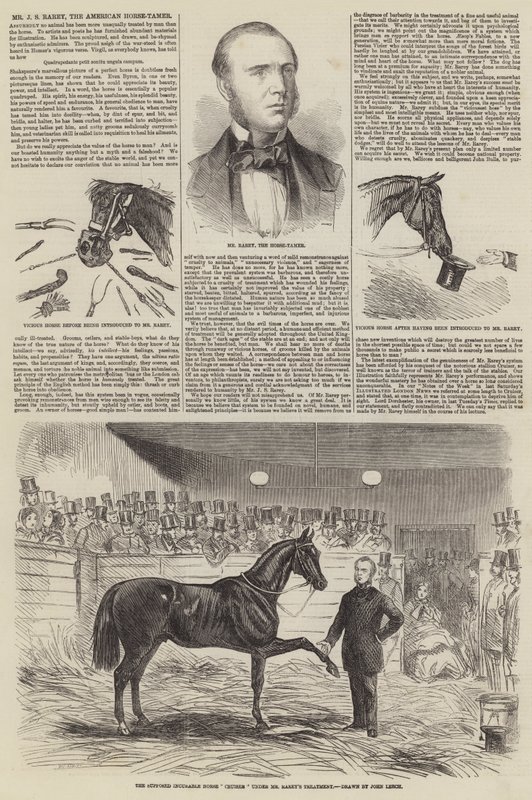 Sr. JS Rarey, o American Horse-Tamer de John Leech