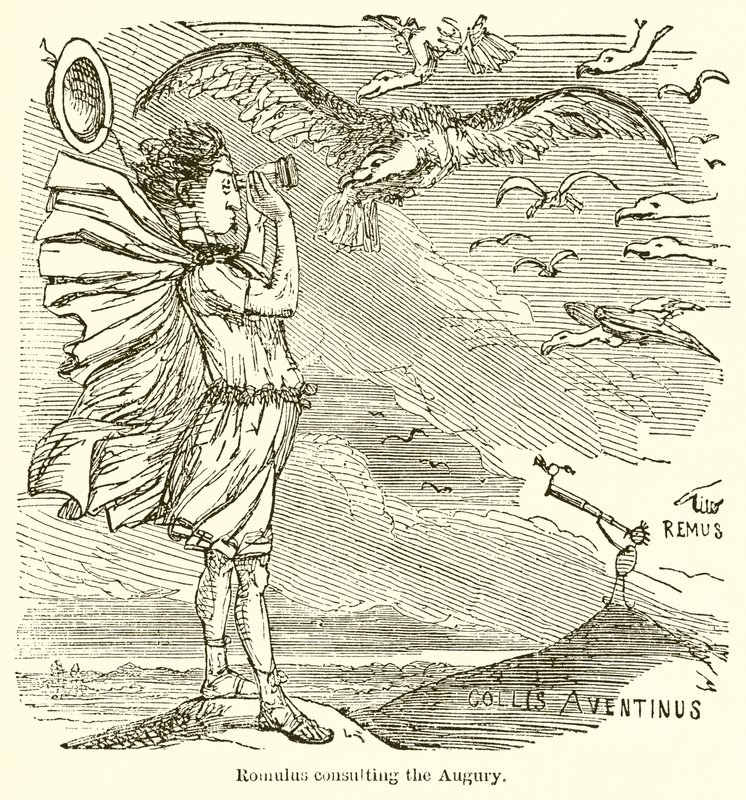 Romulus Consultoria ao Augúrio de John Leech