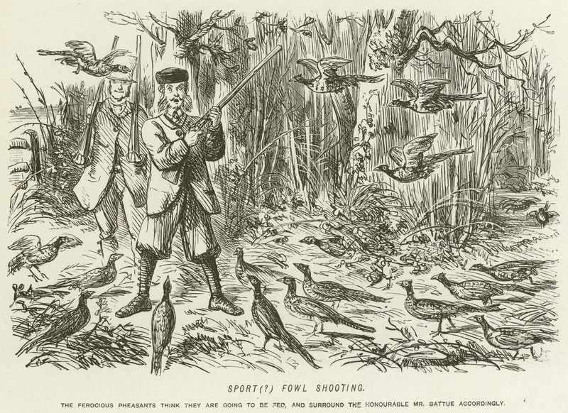 Tiro de aves esportivas de John Leech