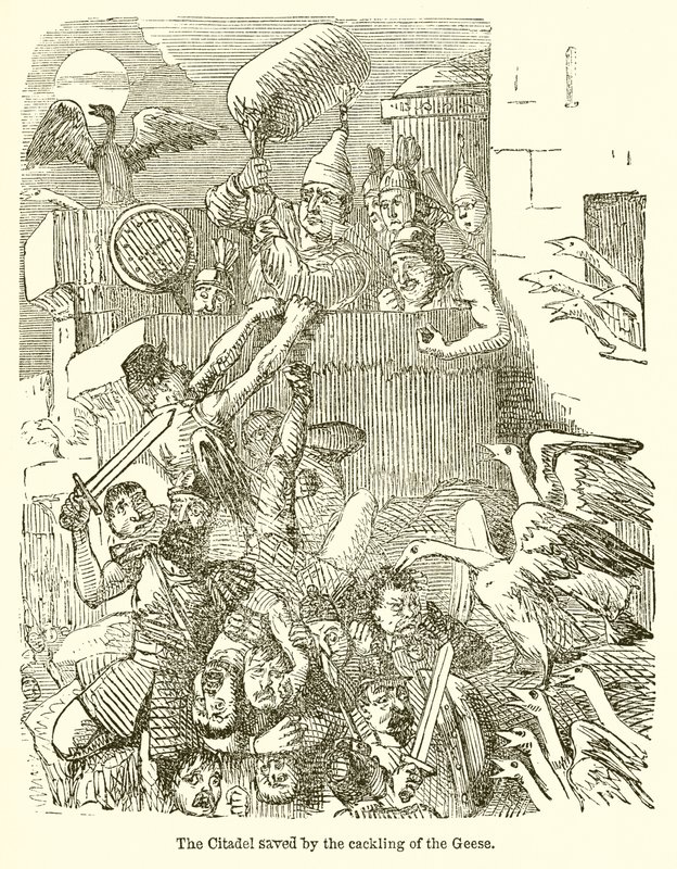 A cidadela salva pelo cacarejo dos gansos de John Leech