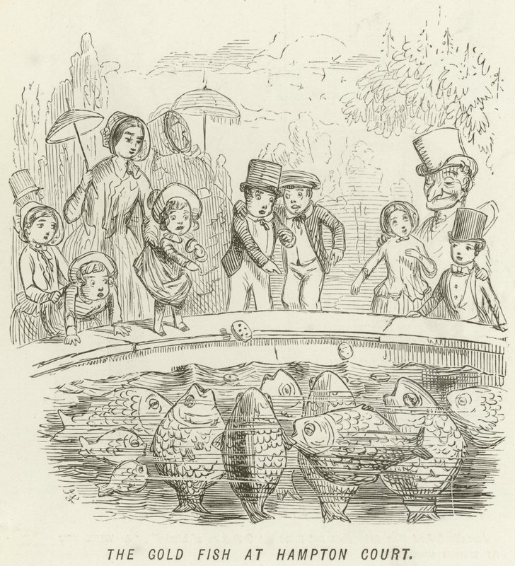 O peixe dourado em Hampton Court de John Leech