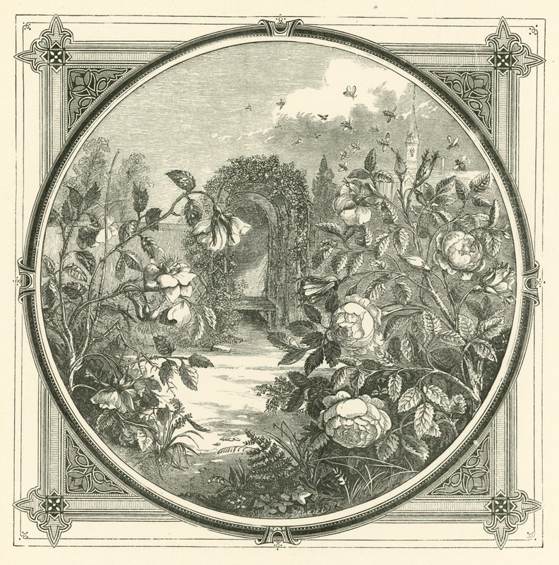 As abelhas não tocam em flores desbotadas (gravação) de John Leighton