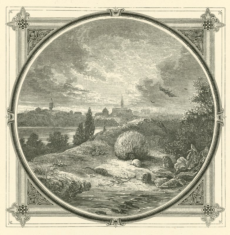Brincar, mas castamente (gravação) de John Leighton