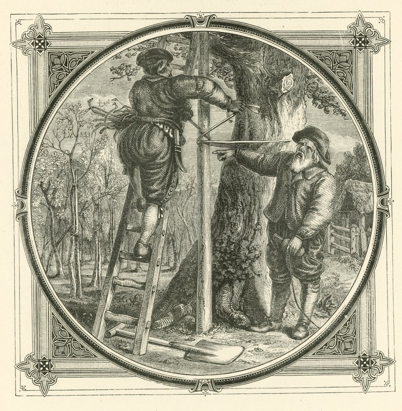 Os ramos podem ser treinados, mas não o tronco (gravura) de John Leighton