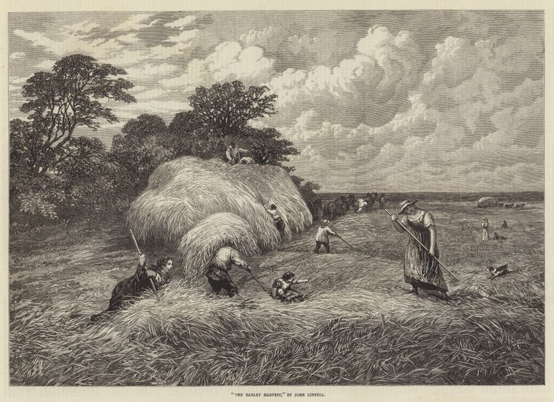 A colheita de cevada de John Linnell