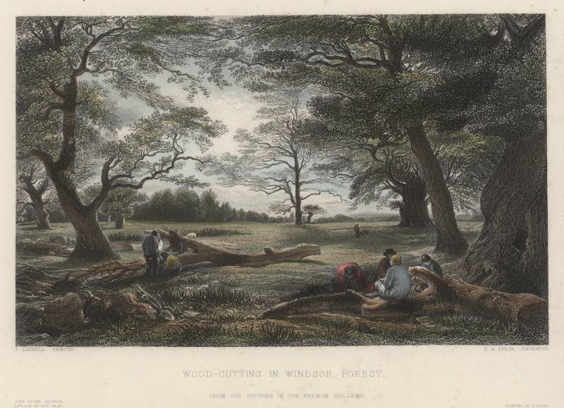 Corte de madeira na floresta de Windsor (gravura colorida) de John Linnell