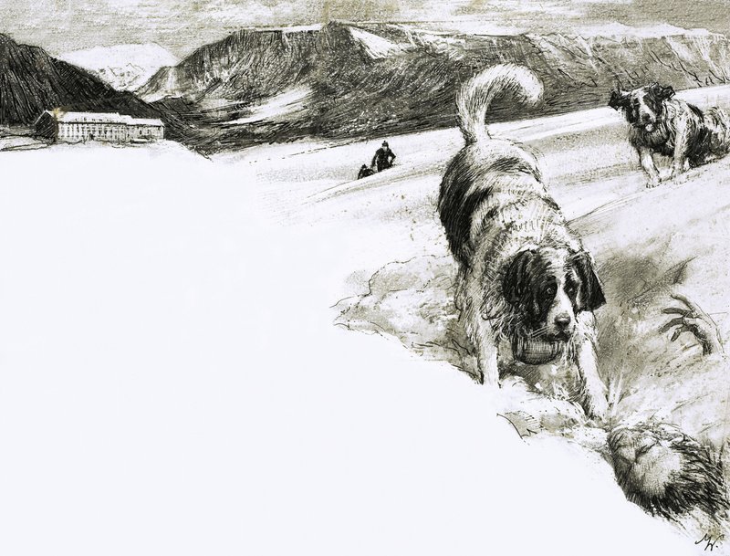 Então é por isso... Estes cães de montanha chamam-se São Bernardo de John Millar Watt