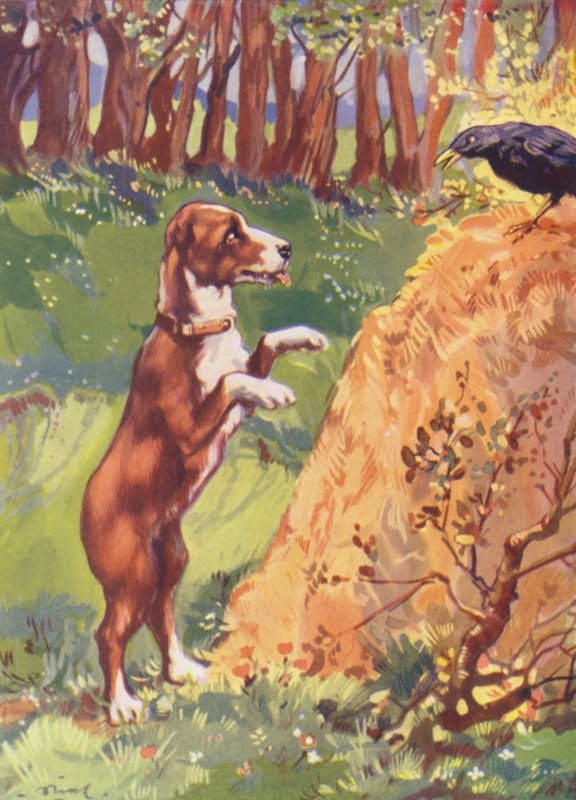 Ilustração para Beautiful Joe de Marshall Saunders (litografia a cores) de John Nicholson