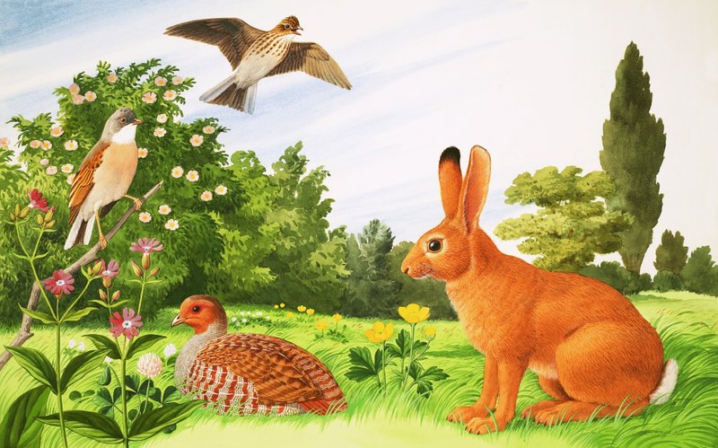 No canto de um campo de John Rignall