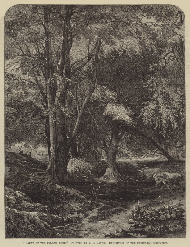Assombração dos gamos de John Samuel Raven