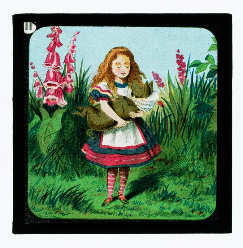 Alice no país das maravilhas, slides de lanternas coloridas de John Tenniel