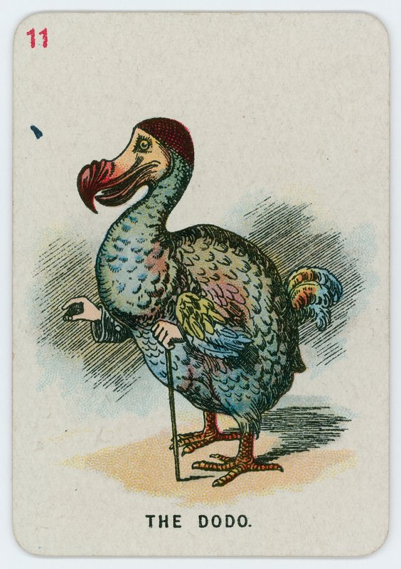 O dodo de John Tenniel