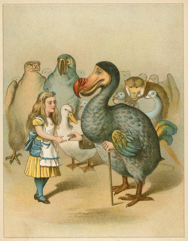 O Dodo solenemente apresentou o dedal das aventuras de Alice no País das Maravilhas de John Tenniel