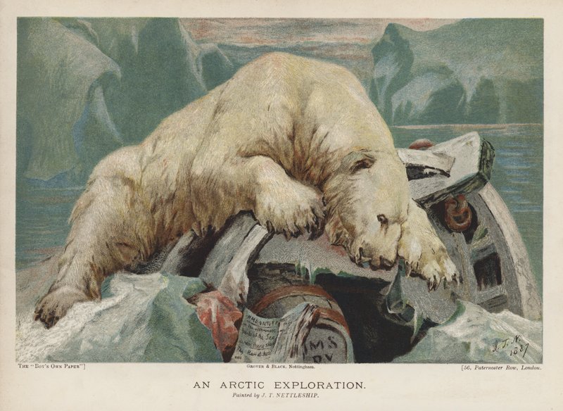 Uma Exploração do Ártico: um urso polar investigando itens de uma expedição ao Ártico (chromolitho) de John Trivett Nettleship