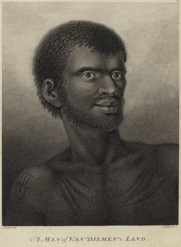Um homem ou a terra de Van Diemen de John Webber