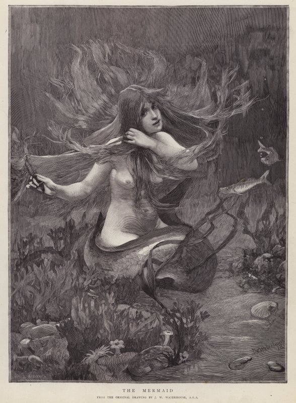 A Sereia (litho) de John William (after) Waterhouse