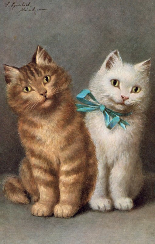 Postal de gato (litografia a cores) de Josef Sperlich