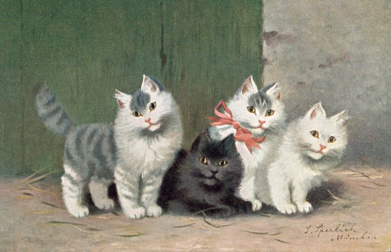 Postal de gato (litografia a cores) de Josef Sperlich