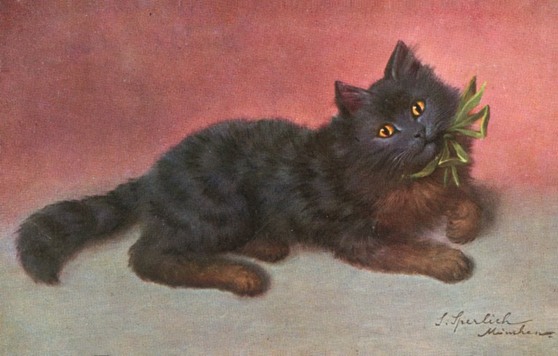 Postal de gato (litografia a cores) de Josef Sperlich