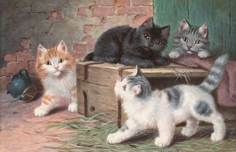 Postal de gato (litografia a cores) de Josef Sperlich