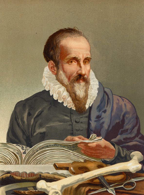 Ambroise Pare de Josep or Jose Planella Coromina