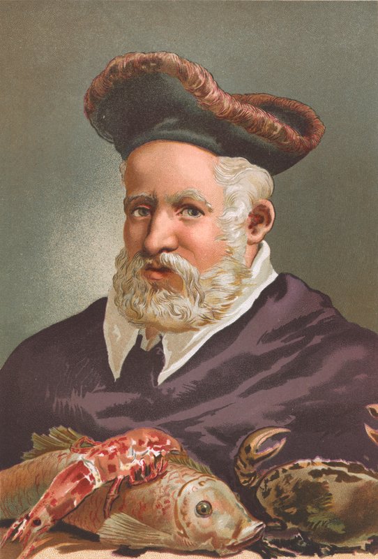 Guillaume Rondelet de Josep or Jose Planella Coromina