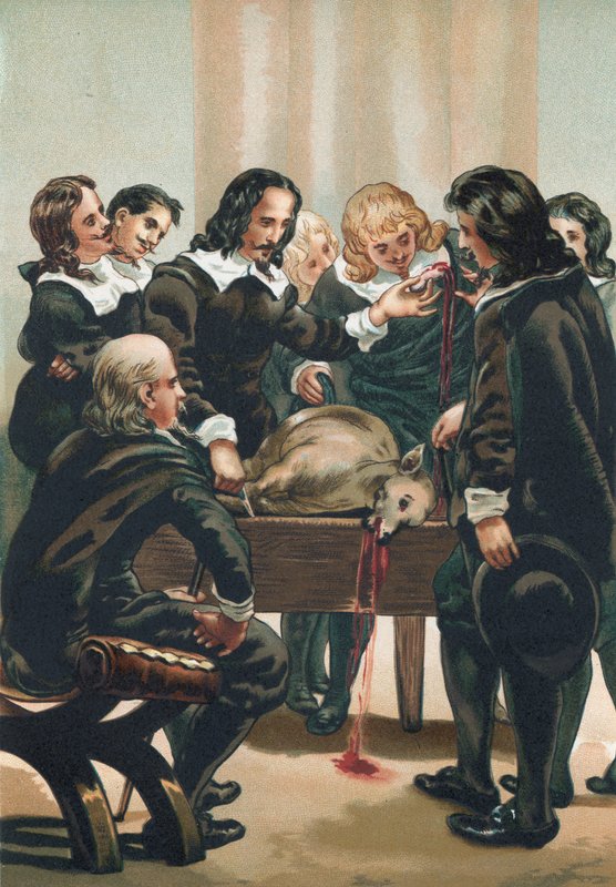 William Harvey demonstrando a circulação do sangue de Josep or Jose Planella Coromina