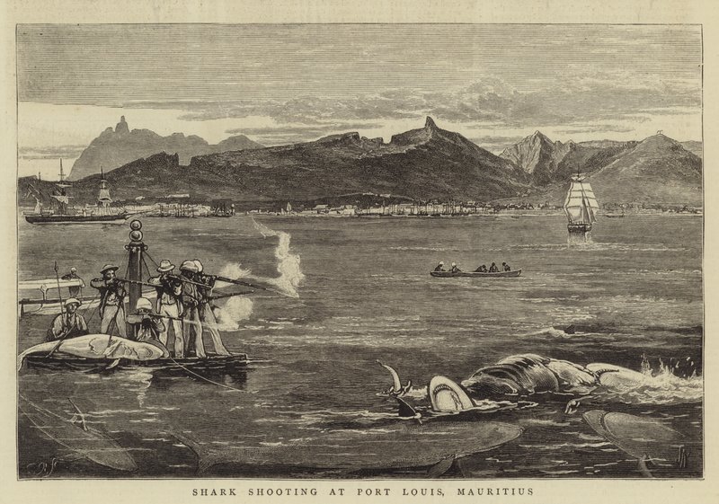 Shark Shooting at Port Louis, Maurício de Joseph Nash