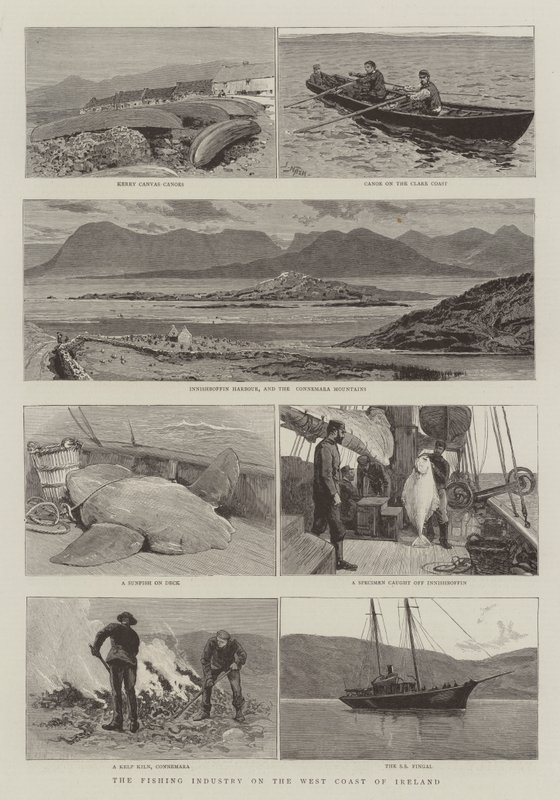 A indústria pesqueira na costa oeste da Irlanda de Joseph Nash