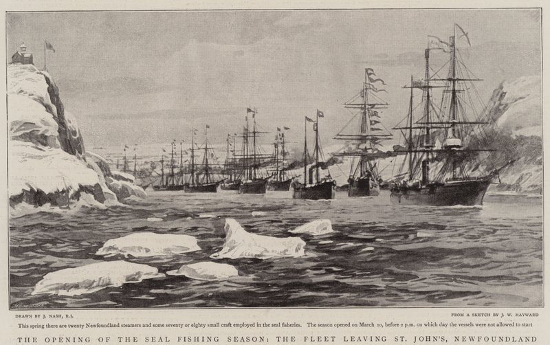 A abertura da temporada de pesca de focas, a frota saindo de St. John&39;s, Newfoundland de Joseph Nash